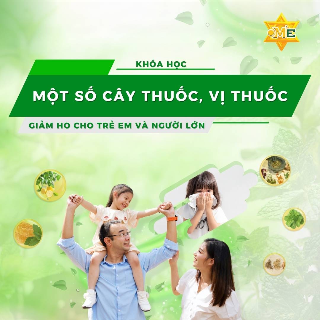 MỘT SỐ CÂY THUỐC, VỊ THUỐC GIẢM HO CHO TRẺ EM VÀ NGƯỜI LỚN