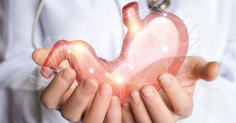 CHĂM SÓC DẠ DÀY VÀ HỆ TIÊU HÓA CHỦ ĐỘNG