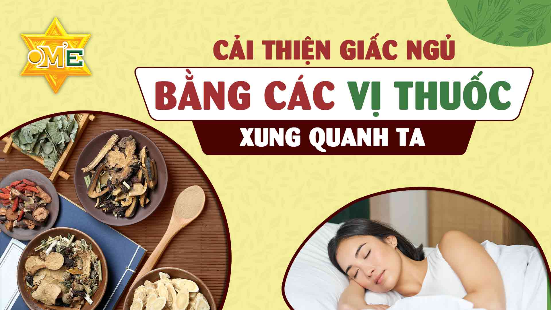 CẢI THIỆN GIẤC NGỦ BẰNG CÁC VỊ THUỐC XUNG QUANH TA