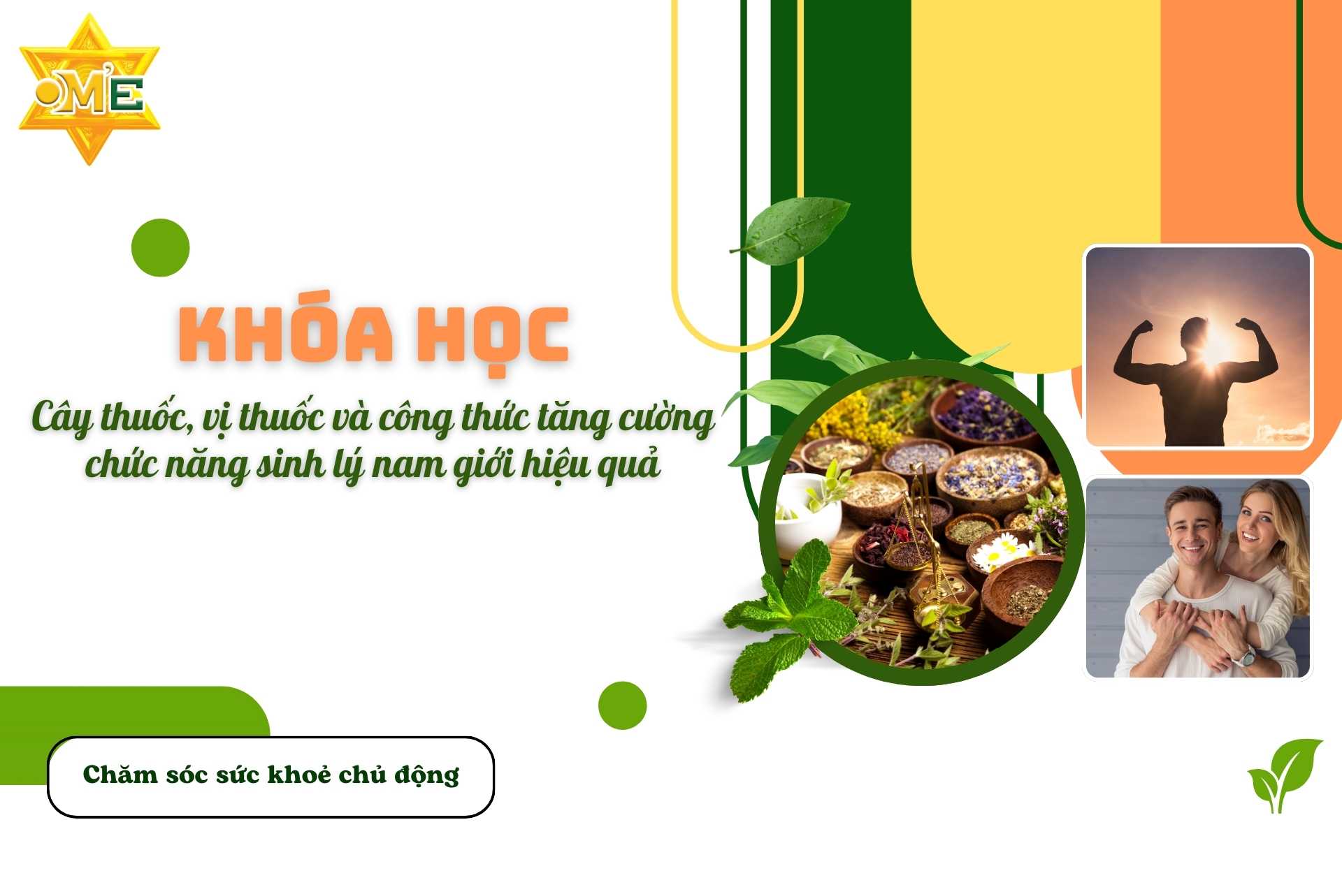 Cây thuốc, vị thuốc và công thức tăng cường chức năng sinh lý nam giới hiệu quả