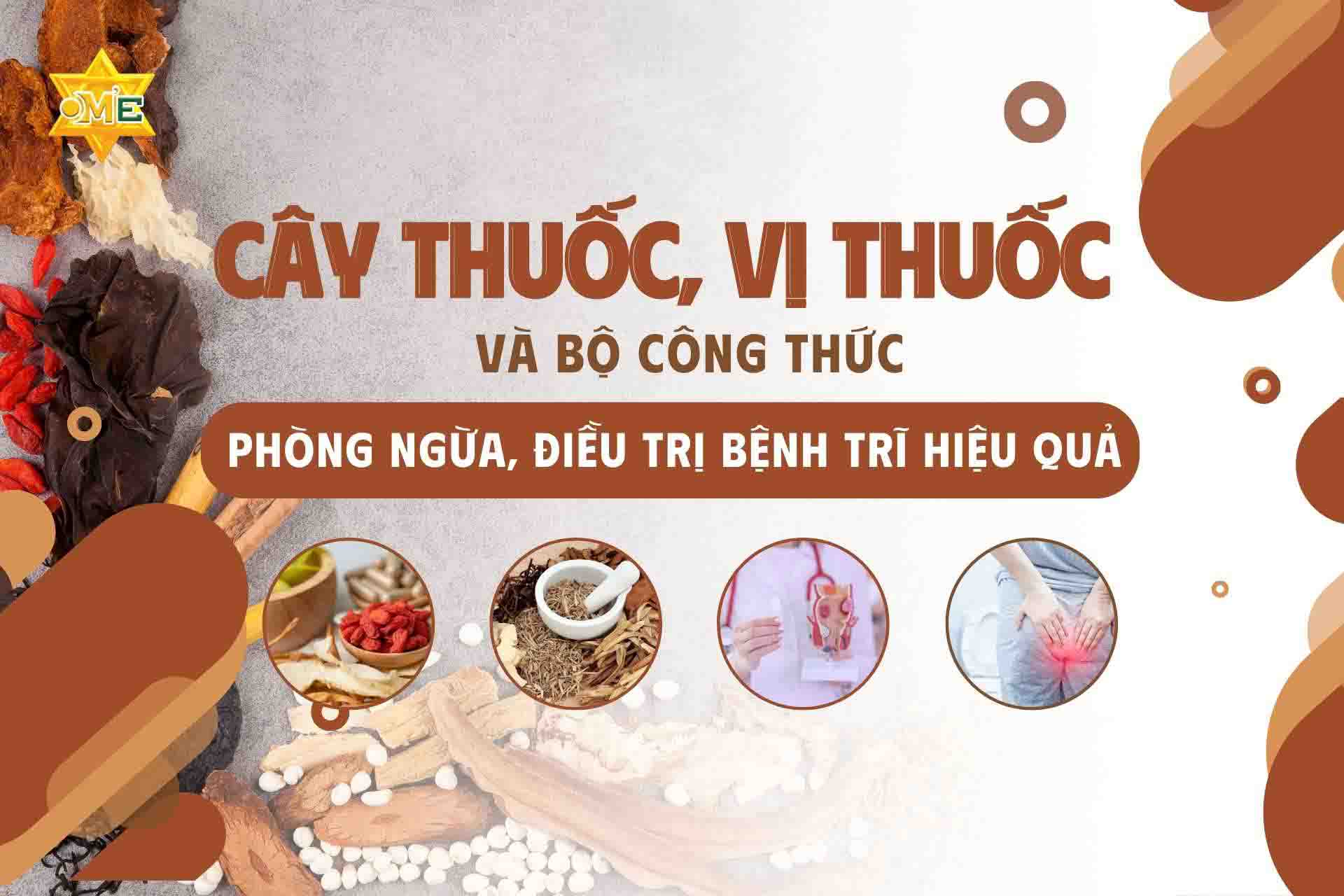 Một số cây thuốc, vị thuốc điều trị trĩ hiệu quả