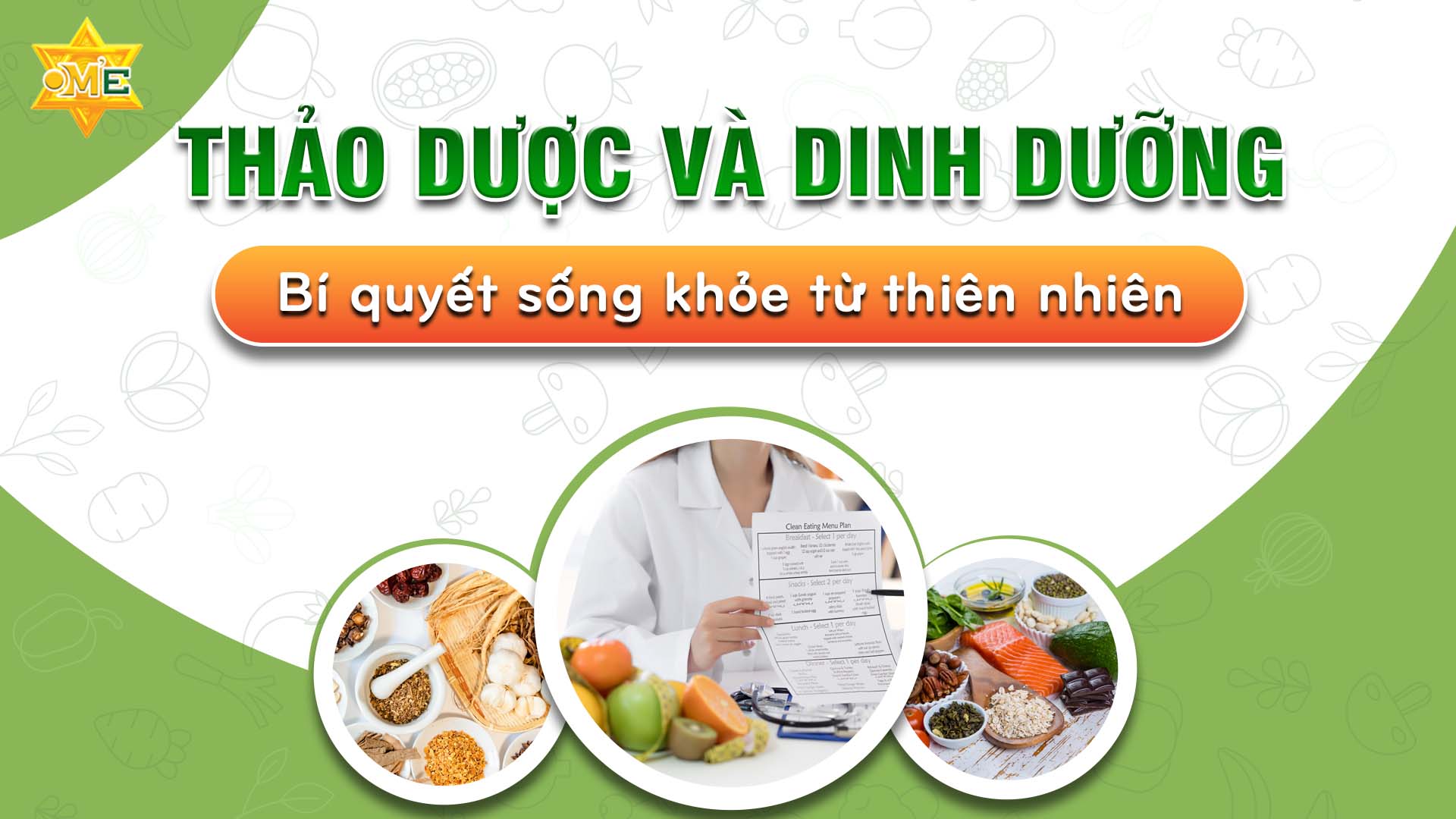 Thảo dược và dinh dưỡng – Bí quyết sống khỏe từ thiên nhiên