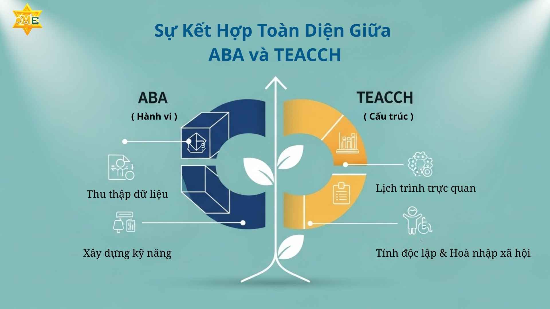 Giáo Dục Đặc Biệt Học Những Gì? Trọn Bộ Kỹ Năng ABA – TEACCH