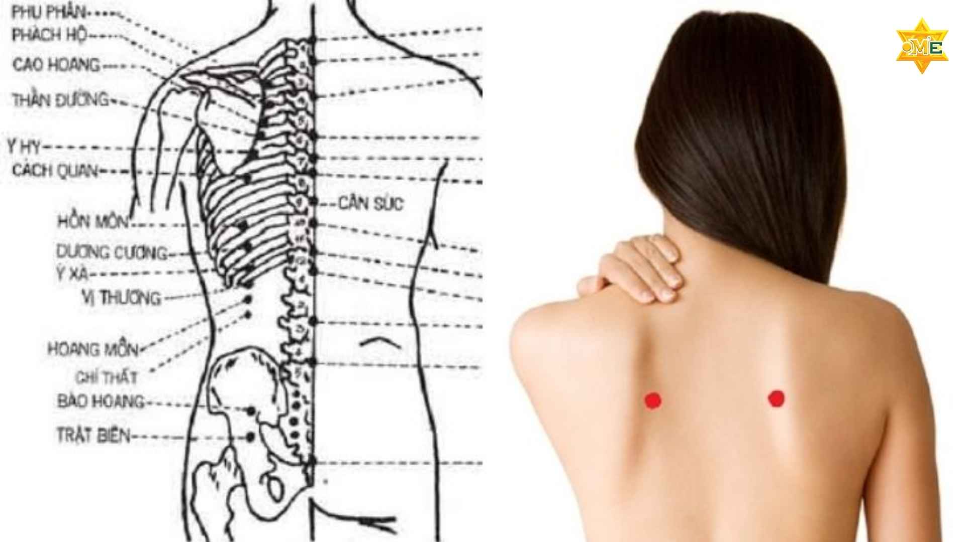 Cẩm Nang Xác Định Vị Trí Các Huyệt Thường Dùng Chuẩn Y Khoa